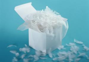 シンプルなデザインの食器を買うなら